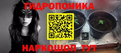 прущие крисы Туймазы