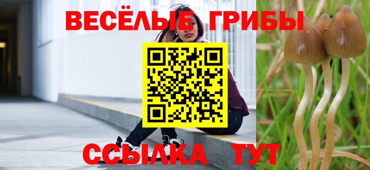 Галлюциногенные грибы мицелий Белая Калитва