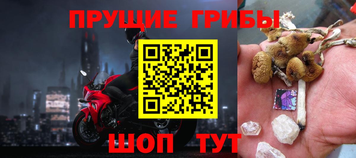 Псилоцибиновые грибы прущие грибы  Псилоцибиновые грибы мицелий  цена наркотик  Вход с VPN  Белая Калитва 
